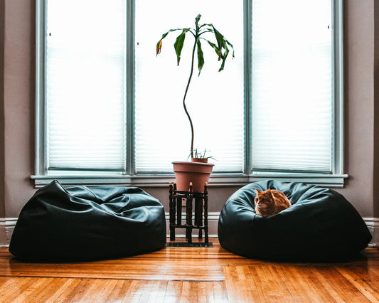 Shop Black Leather Beanbag for Ultimate Indoor Comfort