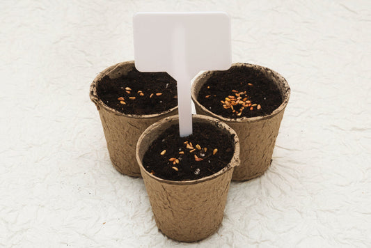 Biodegradable Outdoor Cardboard Pots for Eco-Friendly Gardening